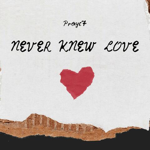 Never Knew Love