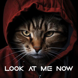 Look At Me Now