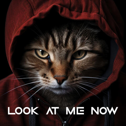 Look At Me Now