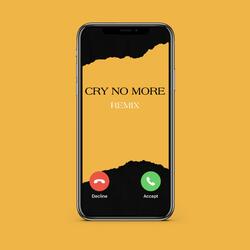 Cry No More Remix