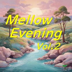 Mellow Evening,Vol.2