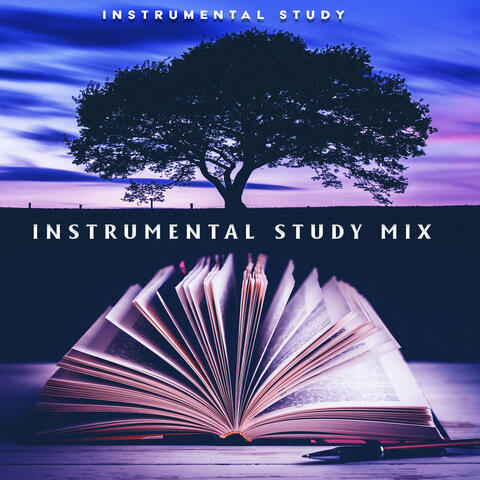 Instrumental Study Mix