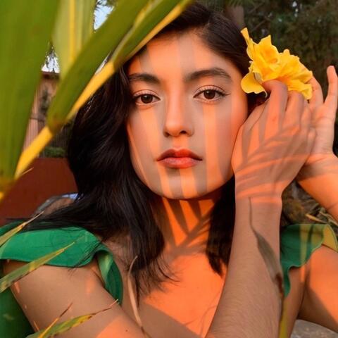 Tropical