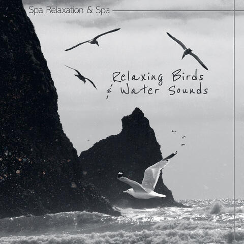 Relaxing Birds & Water Sounds