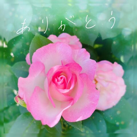 ありがとう
