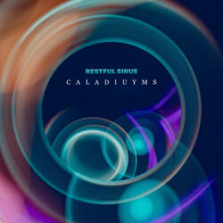 Caladiuyms