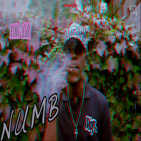 NUMB