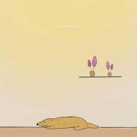 Gentle Piano for Pilates