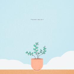 물결 반짝이며 (Twinkle in the Waves)