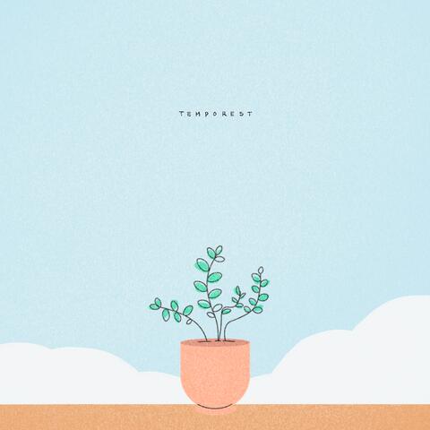 Soft morning, Piano energy