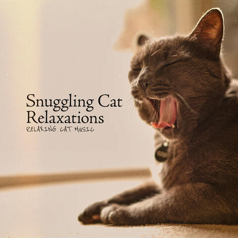 Snuggling Cat Relaxations