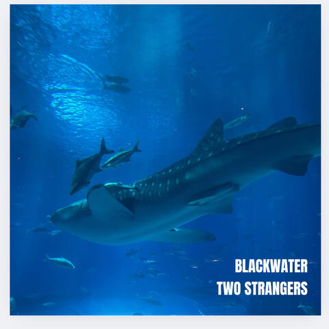 Two Strangers