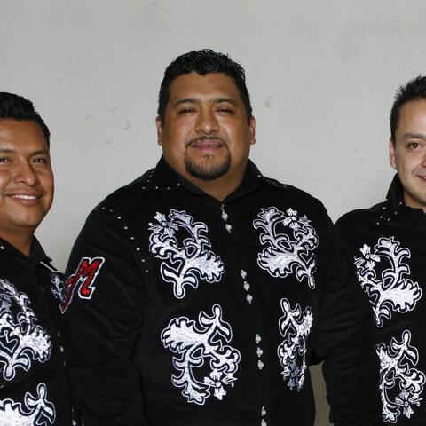 LAS ROLAS DEL NEGRO
