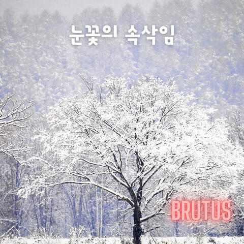 눈꽃의 속삭임