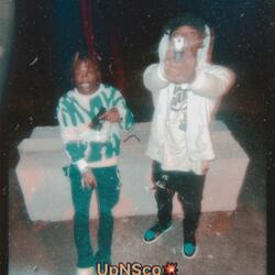 UpNSco