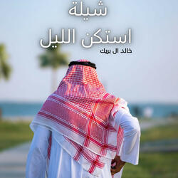 استكن الليل