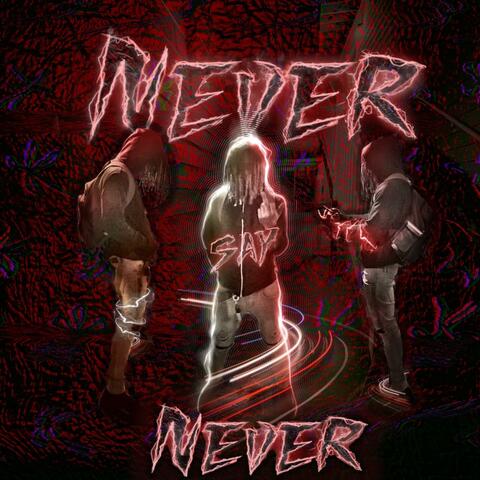 Never Say Never