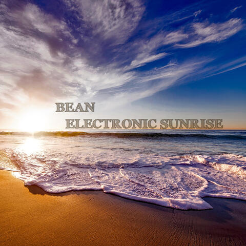 Electronic Sunrise
