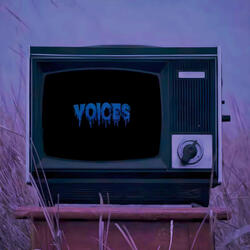 Voices