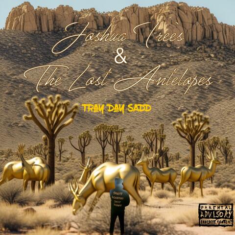 Joshua Trees & The Lost Antelopes