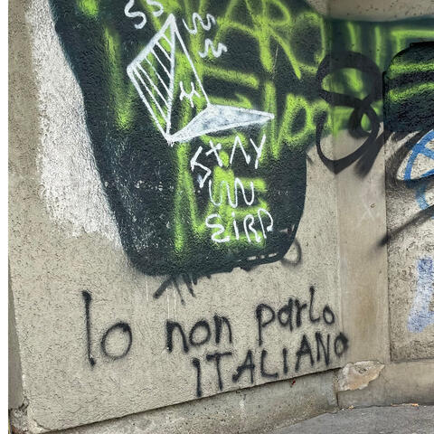 Io non parlo italiano