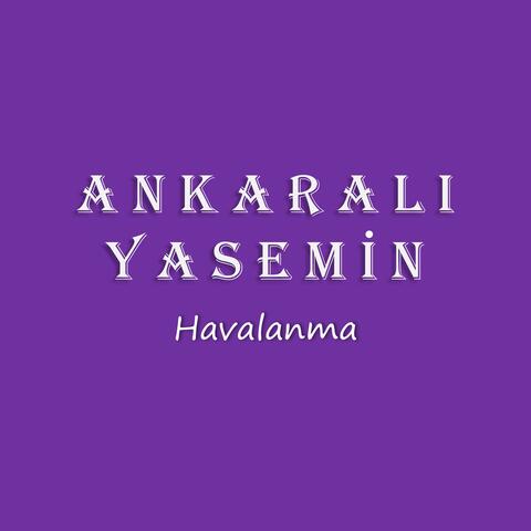 Havalanma