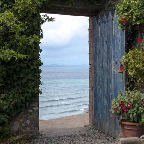 OPENNESS