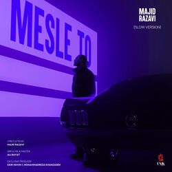 Mesle To