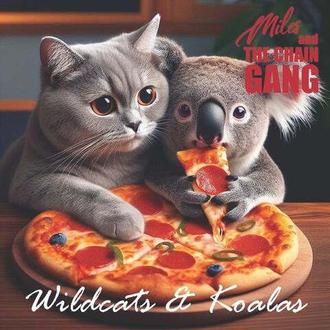 Wildcats and Koalas