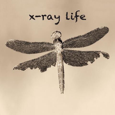 X-Ray Life