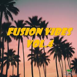 Fusion Vibes＆Sonic Revolution Vol.4