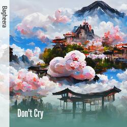 Don't Cry