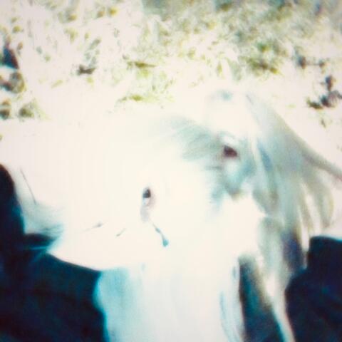 In Your Head