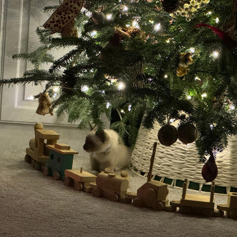Christmas Love at Home