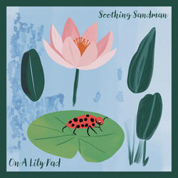 On A Lily Pad