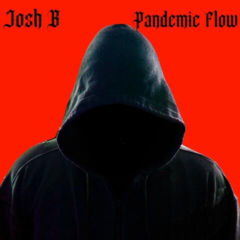 Pandemic Flow