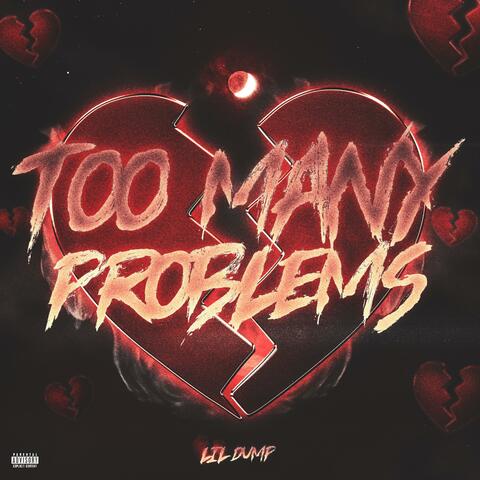 TOO MANY PROBLEMS