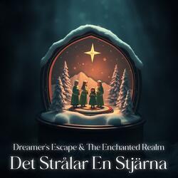 Det strålar en stjärna