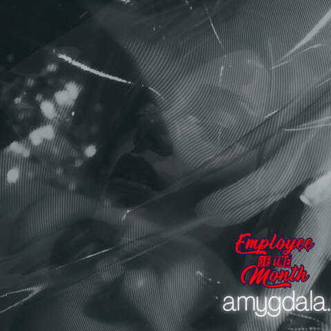 Amygdala
