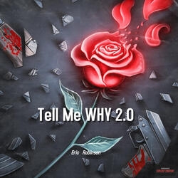 Tell Me WHY 2.0