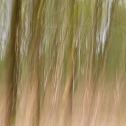 Relaxing Mountain Streams