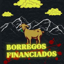 BORREGOS FINANCIADOS