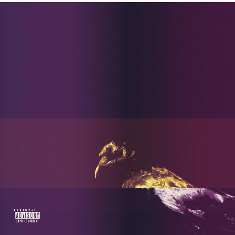 MORE PROBLEMS THAN EVER II