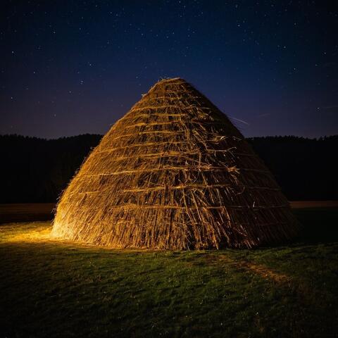Needle In the Haystack