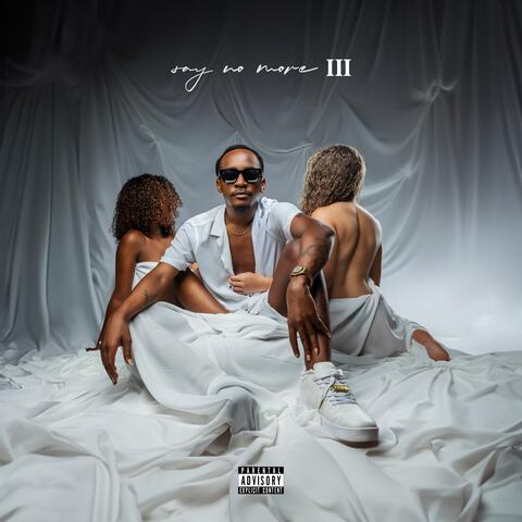 Say No more 3 (Album)