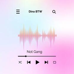 Not Gang