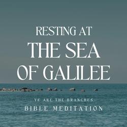 Resting at The Sea of Galilee