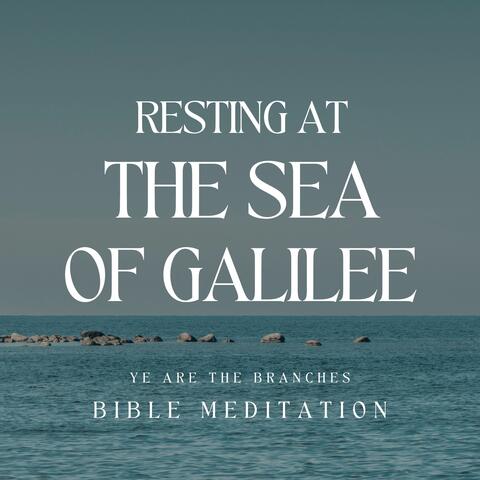 Resting at the Sea of Galilee