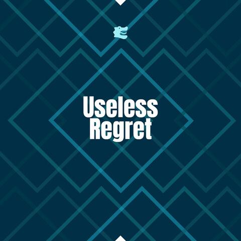 Useless Regret