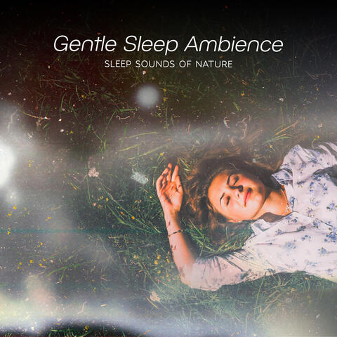 Gentle Sleep Ambience